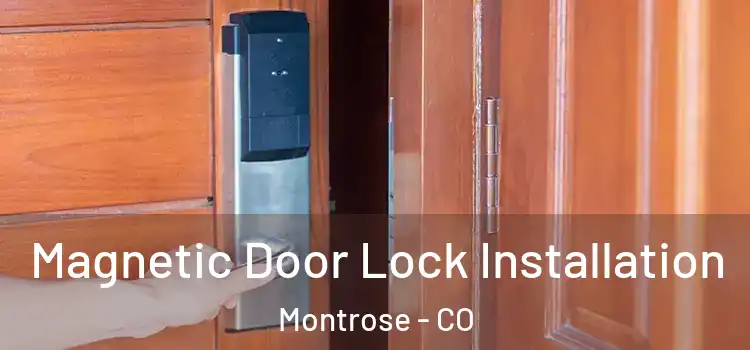  Magnetic Door Lock Installation Montrose - CO