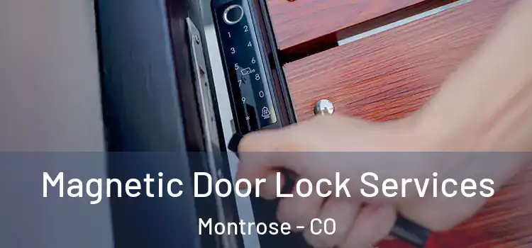  Magnetic Door Lock Services Montrose - CO