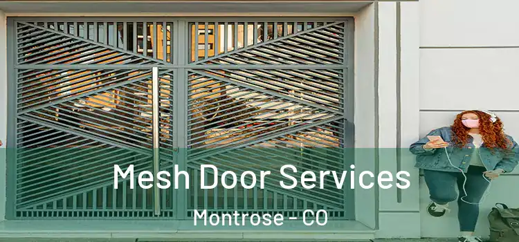  Mesh Door Services Montrose - CO