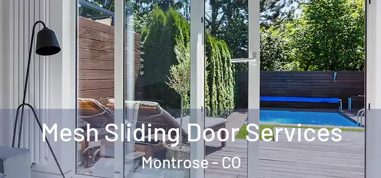 Mesh Sliding Door Services Montrose - CO