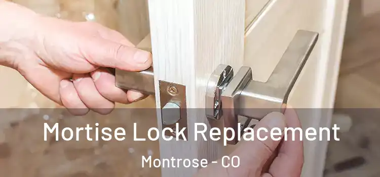 Mortise Lock Replacement Montrose - CO