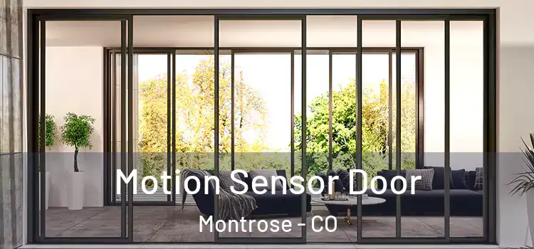  Motion Sensor Door Montrose - CO