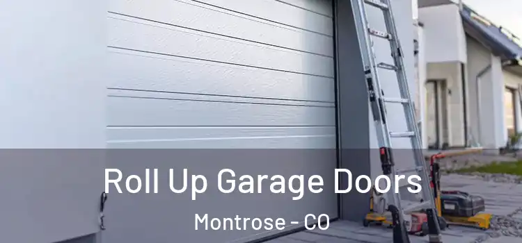  Roll Up Garage Doors Montrose - CO
