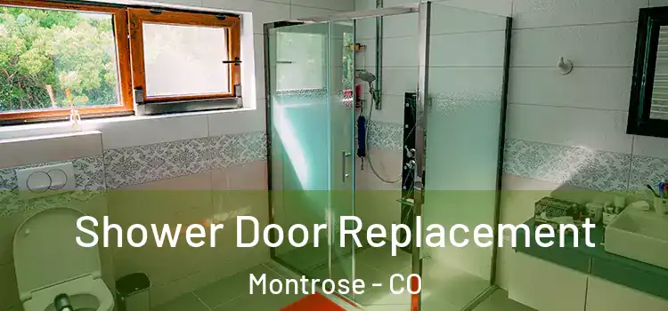  Shower Door Replacement Montrose - CO