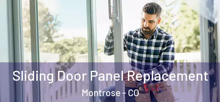  Sliding Door Panel Replacement Montrose - CO
