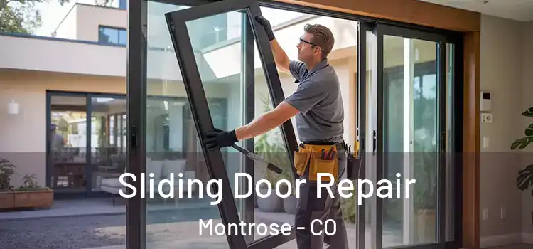  Sliding Door Repair Montrose - CO