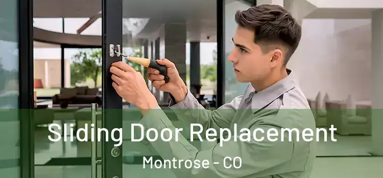  Sliding Door Replacement Montrose - CO