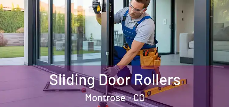  Sliding Door Rollers Montrose - CO