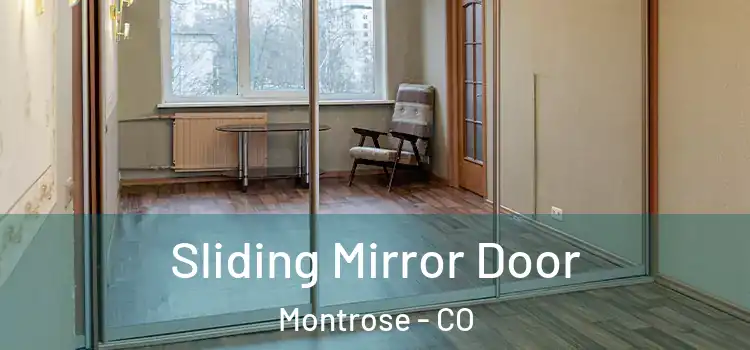  Sliding Mirror Door Montrose - CO