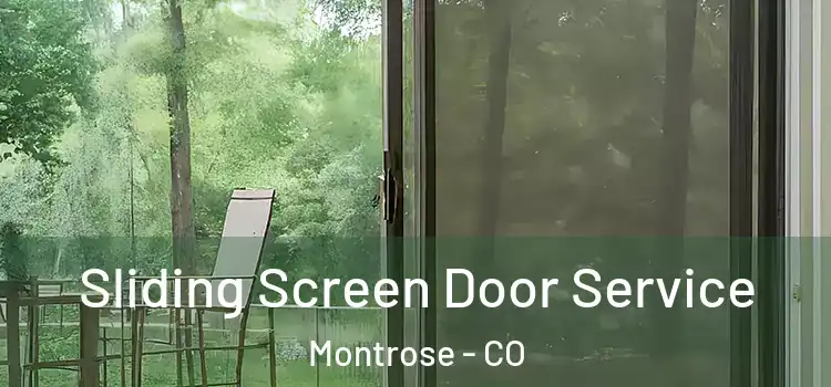  Sliding Screen Door Service Montrose - CO